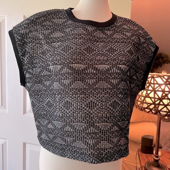 Zara boxy top - mesh-style fabric w/silver threading & cotton collar & sleeves - Picture 1 of 7